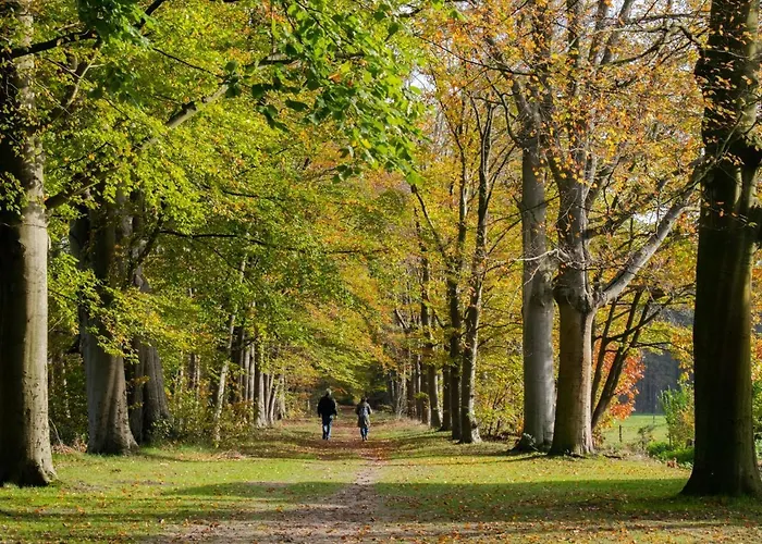 Jager En Hooijmijt Xl * Ulvenhout